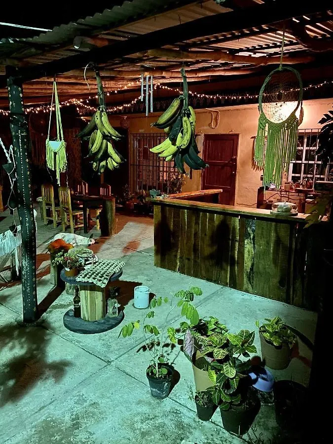 شقة Junglabacalar/ Casa Colibri