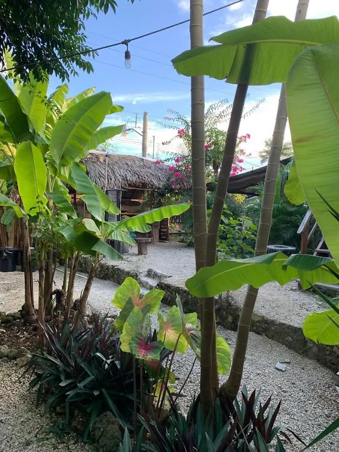 Apartmán Junglabacalar/ Casa Colibri 0*, Bacalar Mexiko
