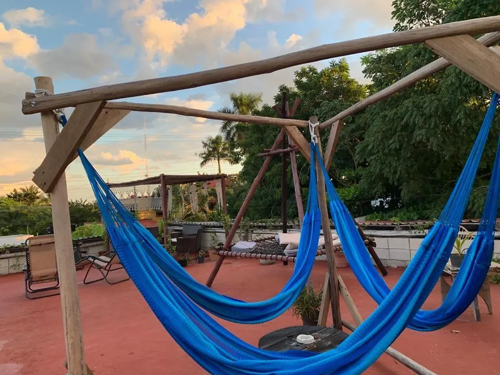 Apartmán Junglabacalar/ Casa Colibri