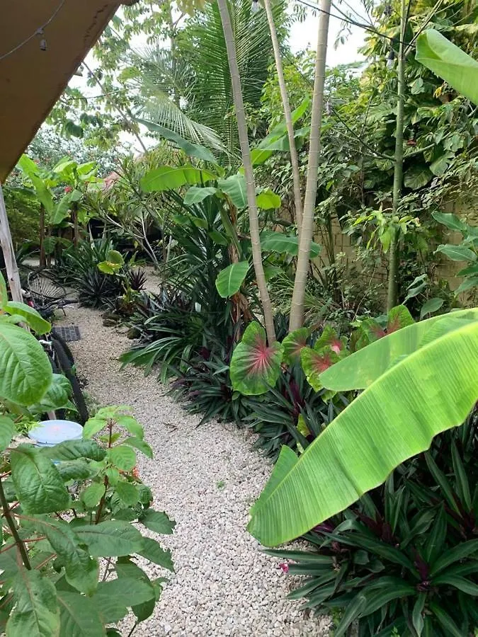 Apartmán Junglabacalar/ Casa Colibri Bacalar