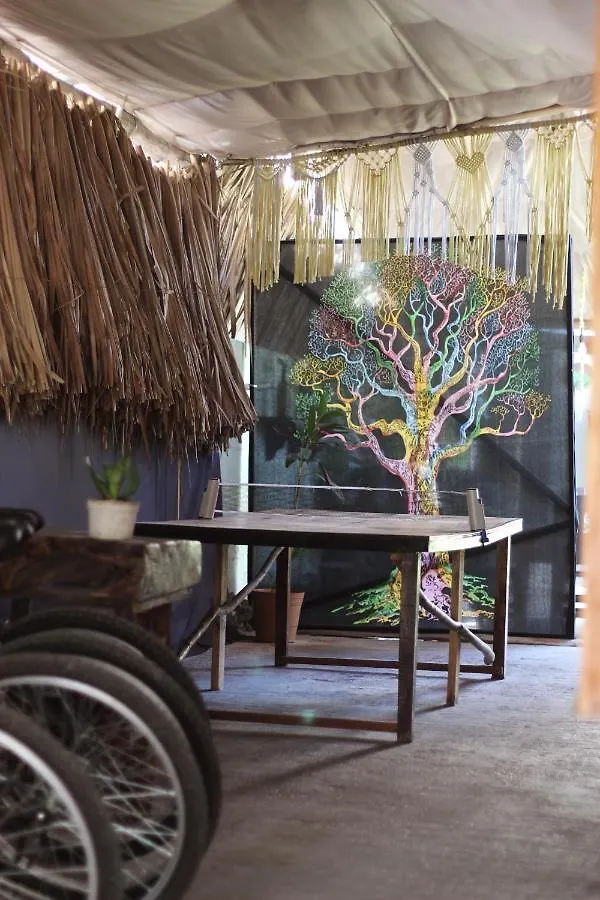 Apartmán Junglabacalar/ Casa Colibri 0*, Bacalar Mexiko