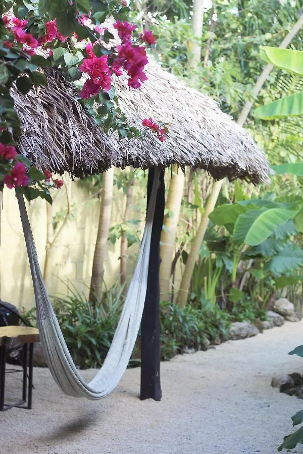 Apartmán Junglabacalar/ Casa Colibri