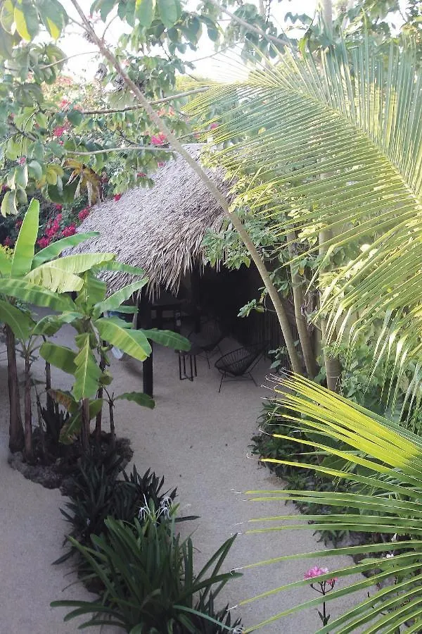 Apartmán Junglabacalar/ Casa Colibri Mexiko
