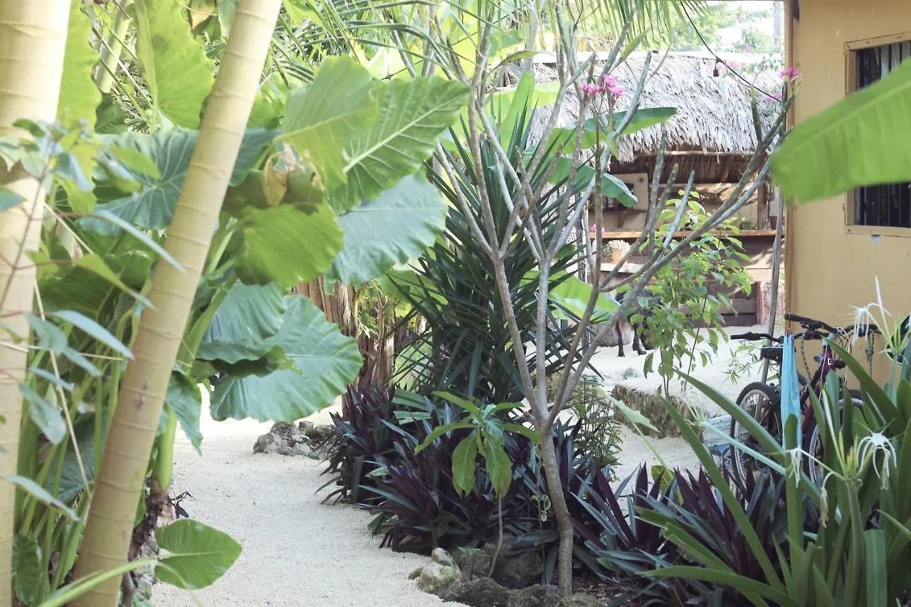 Apartmán Junglabacalar/ Casa Colibri